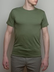 Men's short sleeve 100% merino wool T-shirt 160 light green Merino.live