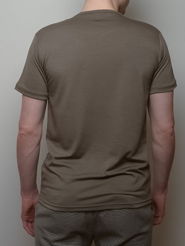 Everyday men T-shirt 160 browngreen